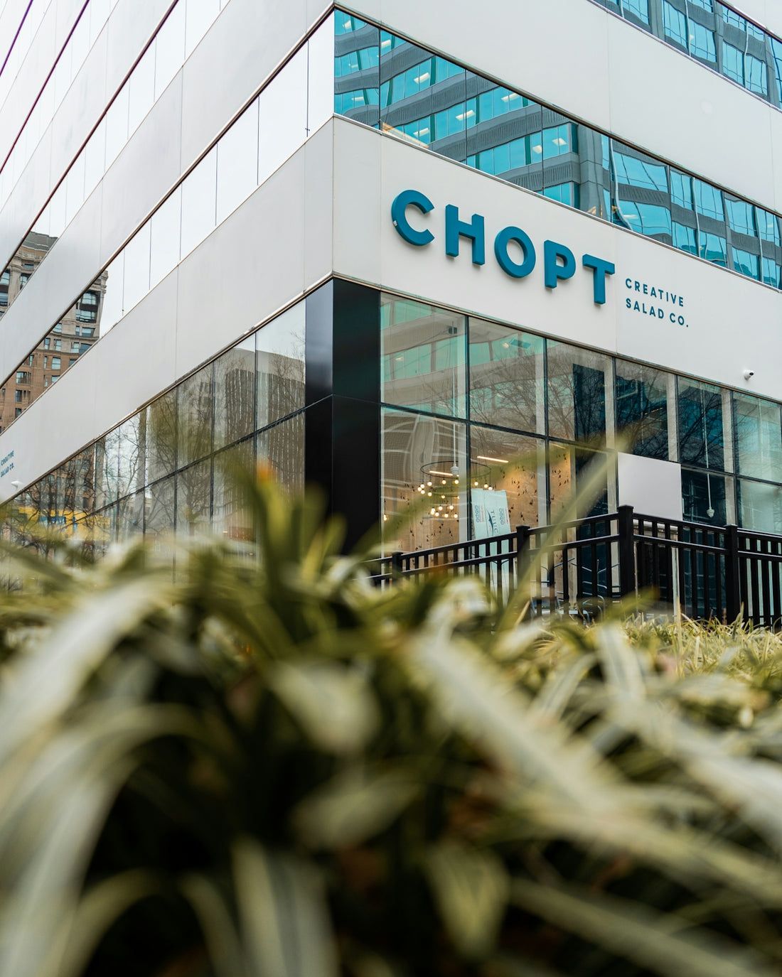 plants beside white Chopt building